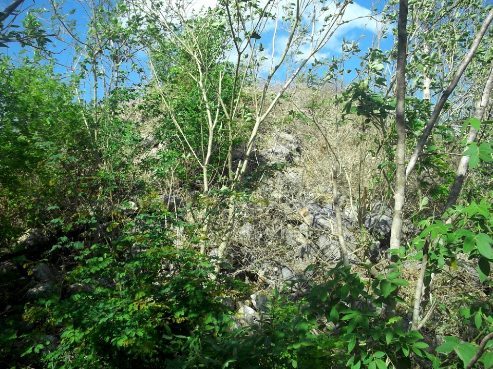 Chichí Suárez, Yucatán (15)
