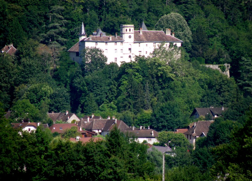Château de Lucey 6