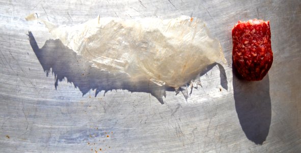Collagen casing from a sausage