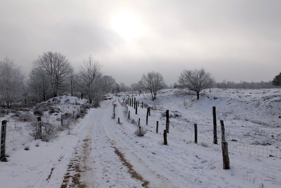 Döberitzer Heide round trail with snow 2021-02-14 94