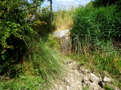 Culvert, Sluice Lane, Normans Bay (2)