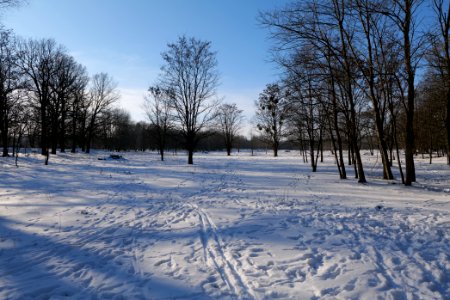 Döberitzer Heide with snow 2021-02-14 256 photo