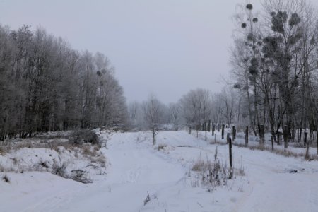 Döberitzer Heide round trail with snow 2021-02-14 71