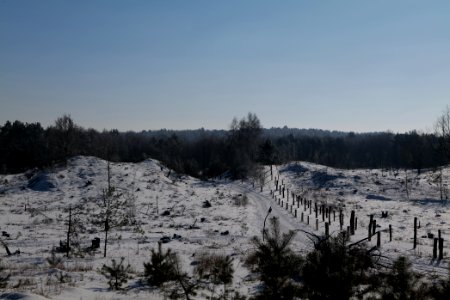 Döberitzer Heide round trail with snow 2021-02-14 123