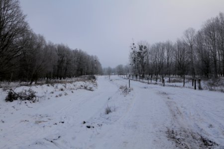 Döberitzer Heide round trail with snow 2021-02-14 69