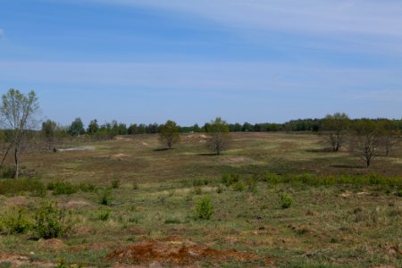 Döberitzer Heide open landscape 2020-05-08 16