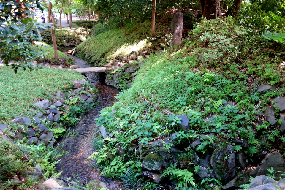 Chuho-sen - Koishikawa Korakuen - DSC09191
