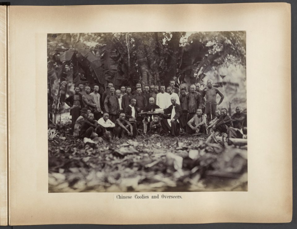 Chinese Coolies and Overseers, Bestanddeelnr 815 13