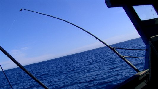 CUBA. COJIMAR (10)