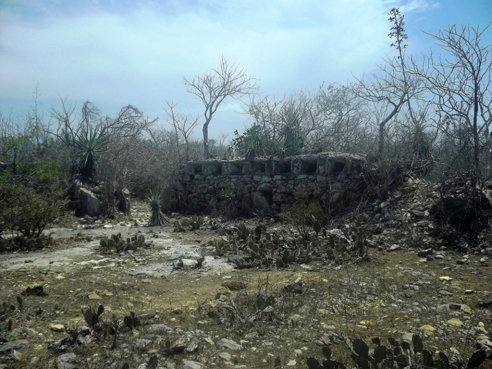 Chicxulub Puerto, Yucatán (08)