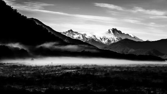 Sunrise black and white meadow photo