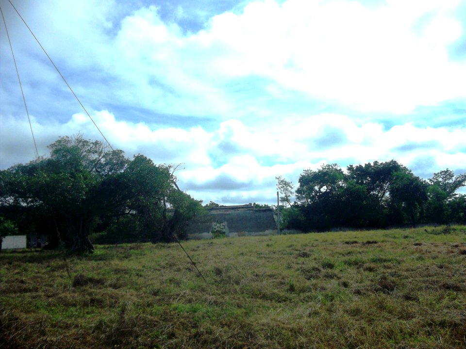 Cacao (Abalá), Yucatán (04)