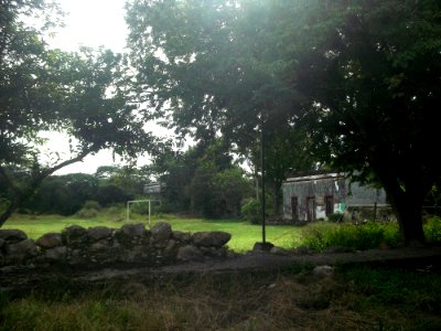 Cacao (Abalá), Yucatán (08)