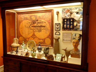 Cabinet of Curiosities - George Walter Vincent Smith Art Museum - DSC03690