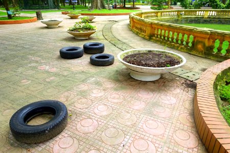Circles - Hanoi Botanical Garden - Hanoi, Vietnam - DSC03607