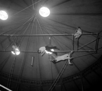 Circus Mikkenie in Turnhout Belgie, Bestanddeelnr 904-6936