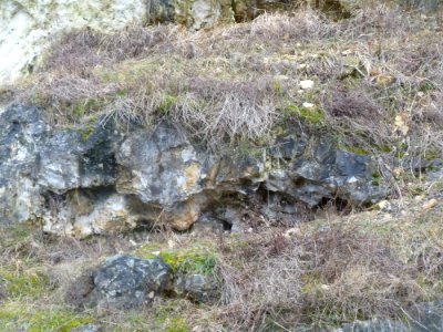 Cadier en Keer-Groeve Blankenberg (41)