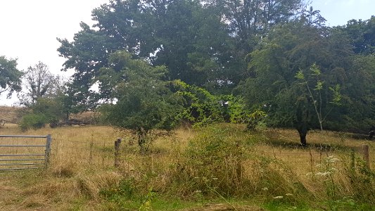 Cadier en Keer-Groeve aan Hiereberg (4)