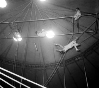 Circus Mikkenie in Turnhout Belgie, Bestanddeelnr 904-6937