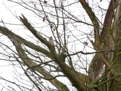 Cadier en Keer-Groeve Blankenberg (26)