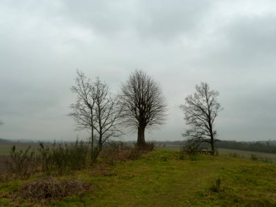 Cadier en Keer-Groeve Blankenberg (31)