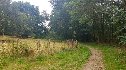 Cadier en Keer-Groeve aan Hiereberg (5)