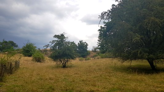 Cadier en Keer-Groeve aan Hiereberg (1)
