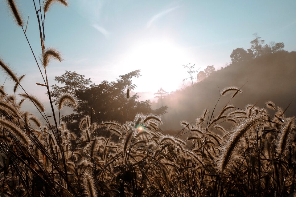 Summer sunset outdoor