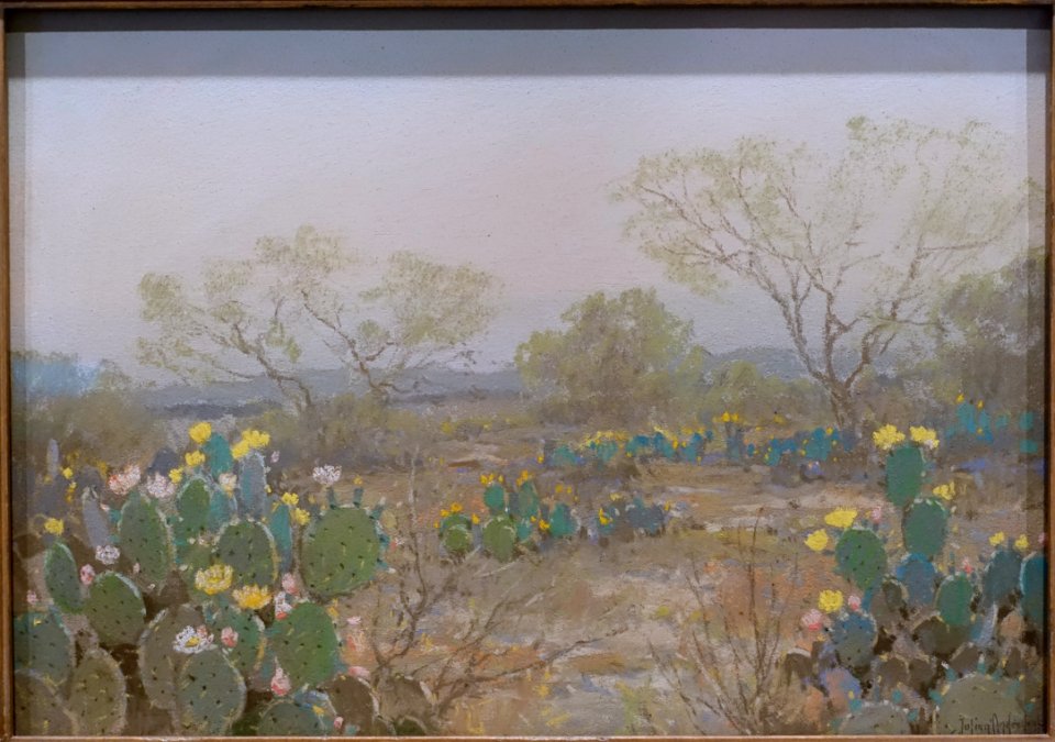 Cacti in Bloom, San Antonio, Texas, by Julian Onderdonk, 1921, pastel on board - Harry Ransom Center - University of Texas at Austin - DSC08489