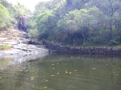 Cachoeira, Costa da Lagoa