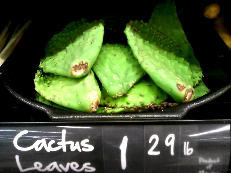 Cactus leaves