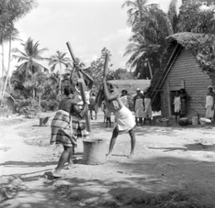 Boslandcreoolvrouwen die olie uit de pitten van de Maritapalm stampen, Bestanddeelnr 252-5889
