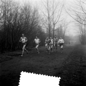 Bosloop Leiden. Lopers onderweg, Bestanddeelnr 908-2951