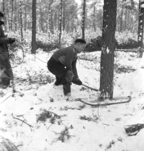 Bosbewerking, arbeiders, werkzaamheden, sneeuw, zagen, Bestanddeelnr 251-8364