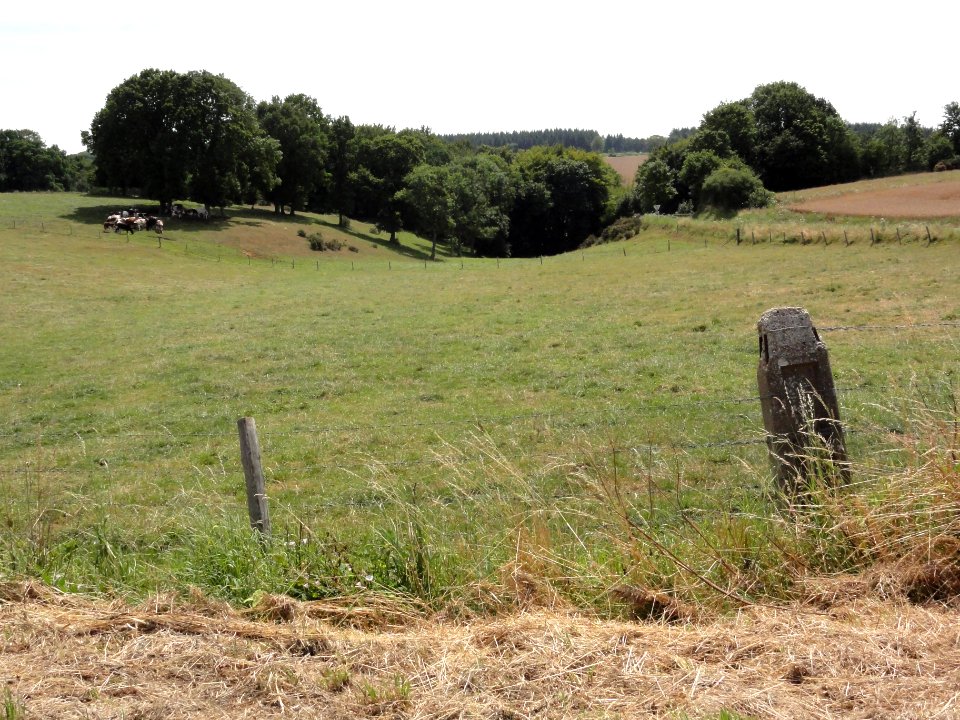 Bosville (Seine-Mar.) paysage 1
