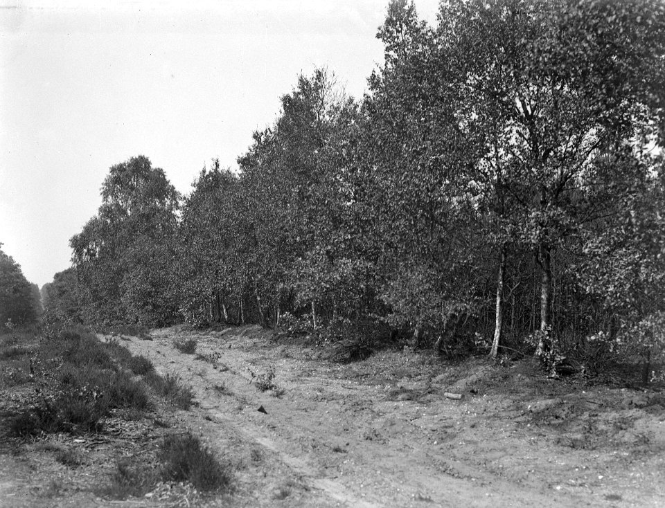 Bosbranden , noordweg, Bestanddeelnr 192-0092