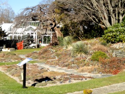 Botanic Garden of Smith College - DSC04433