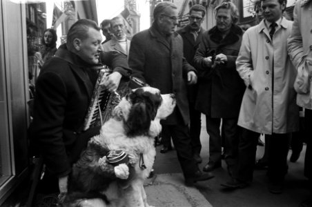 Blinde straatmuzikant met hond in Amsterdam, Bestanddeelnr 926-1187