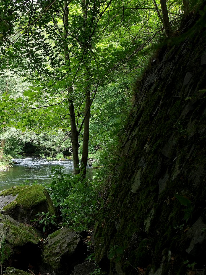 Bode Umgebung Altenbrak (11)