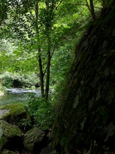 Bode Umgebung Altenbrak (11)