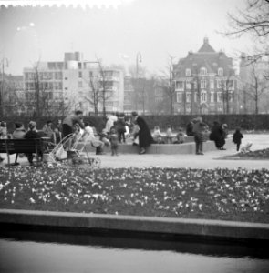 Bloemen en zonnen in Amsterdam, Bestanddeelnr 912-1968
