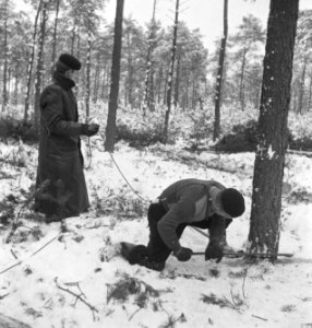 Bosbewerking, arbeiders, werkzaamheden, sneeuw, zagen, Bestanddeelnr 251-8363