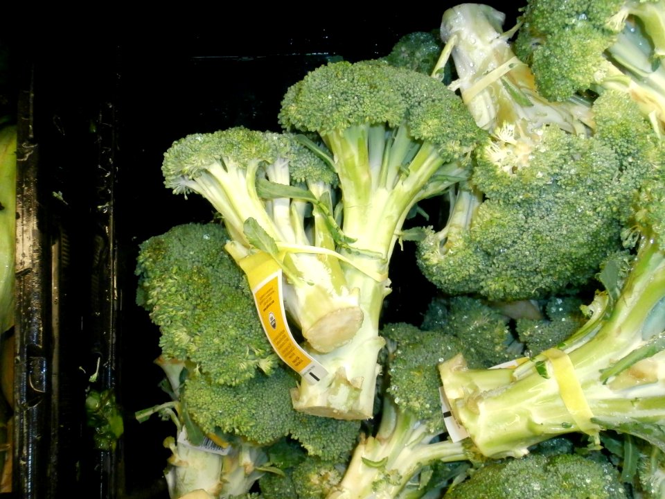 Broccoli in a bin