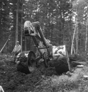 Bosbewerking, arbeiders, machines, werktuigen, Bestanddeelnr 251-8581