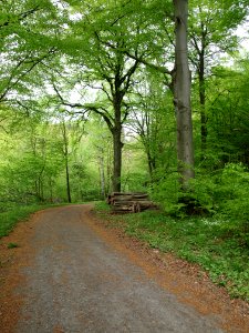 Bodeweg Altenbrak-Wendefurth