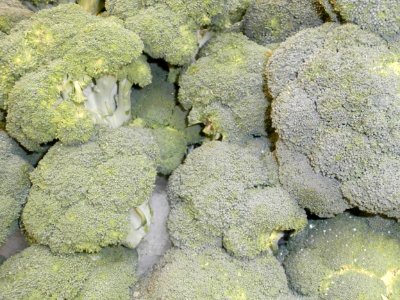 Broccoli florets on ice photo