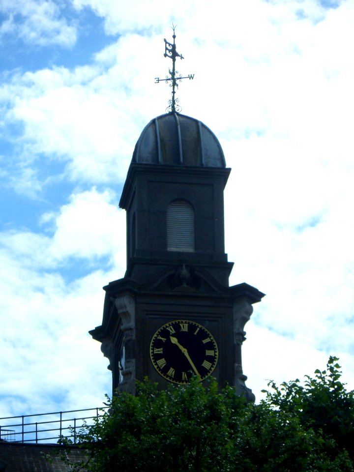 Brighton General Hospital (Arundel Building), Elm Grove, Brighton (NHLE Code 1380497) (August 2013) (Cupola)