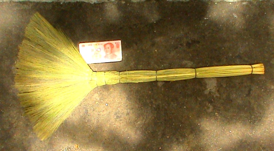 Broom in China 01