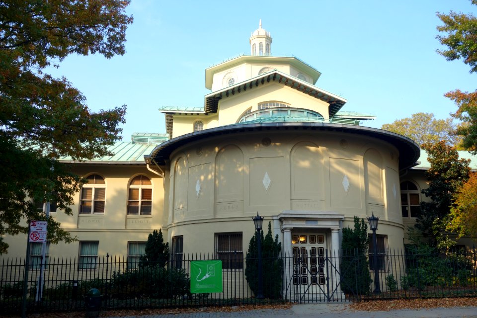 Brooklyn Botanic Garden - DSC07892