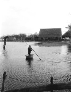 Boerderijen Terschuur , Gelderse Vallei , ondergelopen, Bestanddeelnr 910-1119